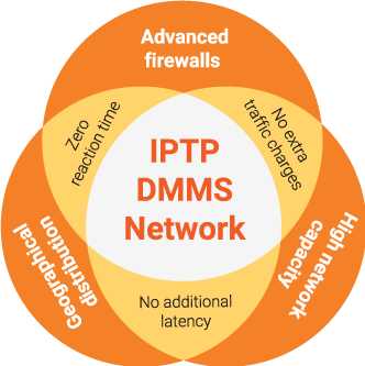 dmms overview